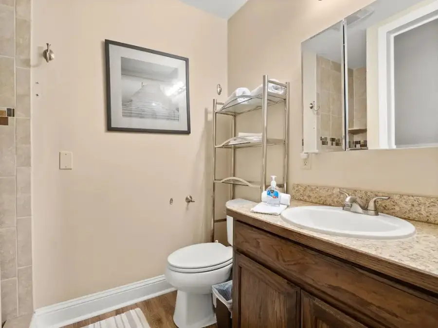 Bathroom 2 has a stand up stone shower